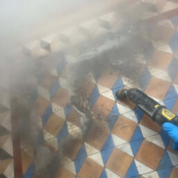 pic shows black dirt coming out of these Victorian hallway tiles as they are being deep cleaned
