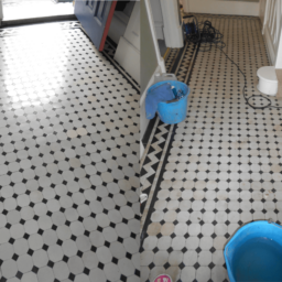 large black and white octagon Victorian tiles in this hallway in Ealing West London. Ties have been deep cleaned, restored and properly sealed. The result is white clean looking antique tiles